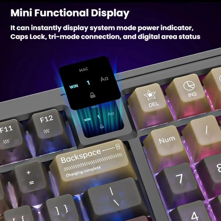 TBD06065454_B6.jpg@5a928f4f73be92e34b9440f3e7bdc033