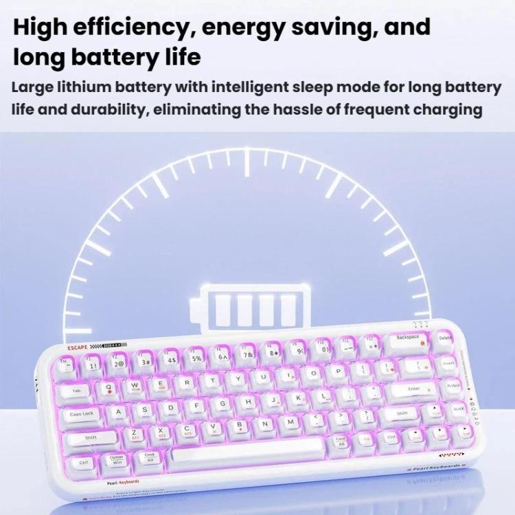 TBD06065629_B5.jpg@40f9860898a2290c4216a20611d626c5