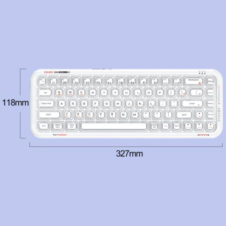 TBD06065629_B7.jpg@b91ff3836606b5b6e644c980f46efa93