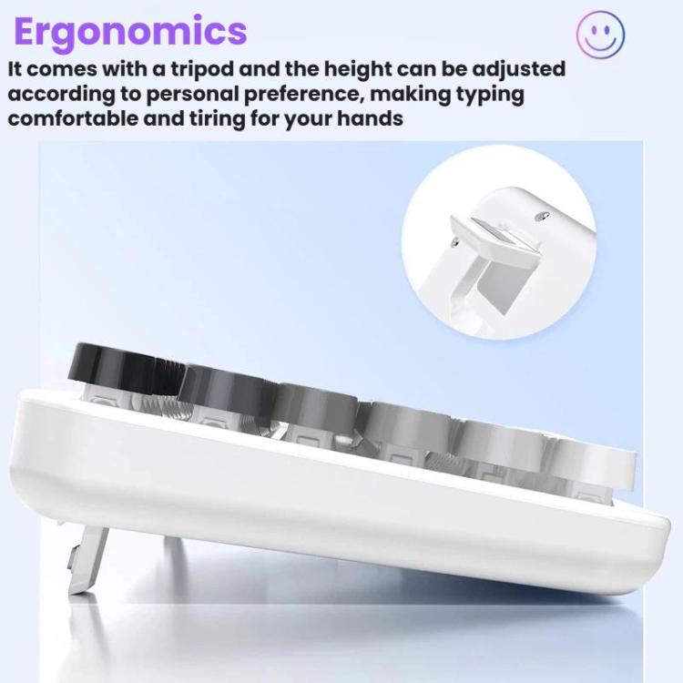 TBD06065632_B5.jpg@f92c9abec86834111e8bbd1c235bd62c