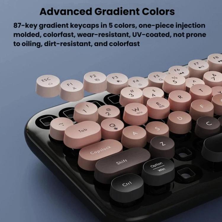 TBD06065638_B3.jpg@22becdd1b39a9fff048d63aaccace7db