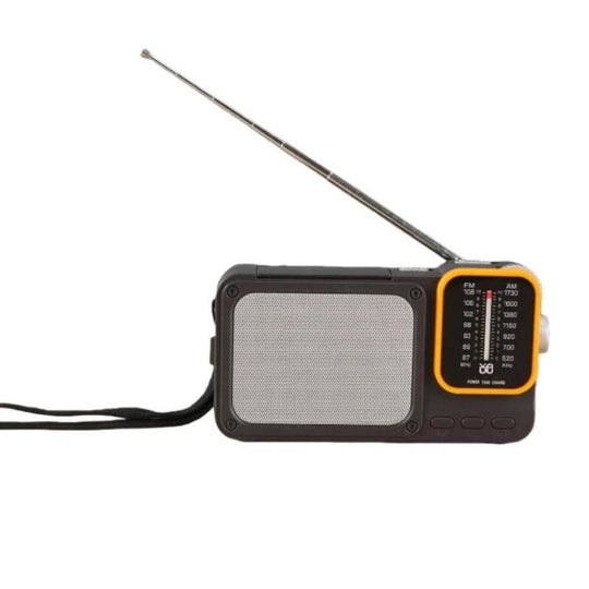 W-916 Portable Pointer Radio With Reading Light FM/AM Dual-Band Radio(Grey)