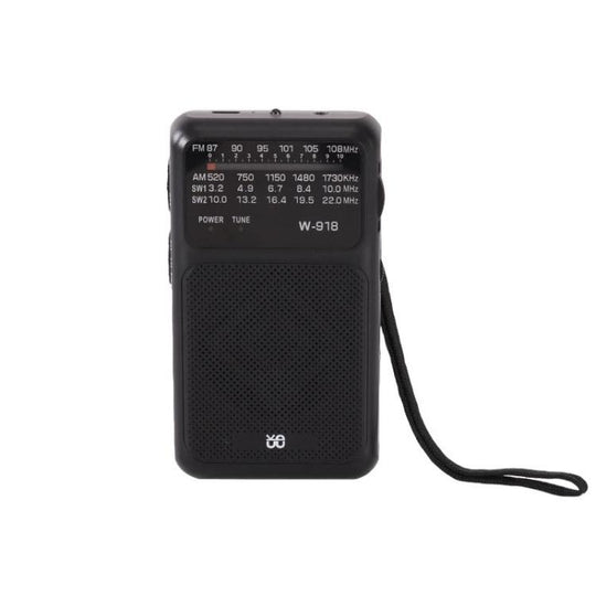 W-918 Pointer Dual-Power Radio FM/AM/SW Full-Band Radio(Black)