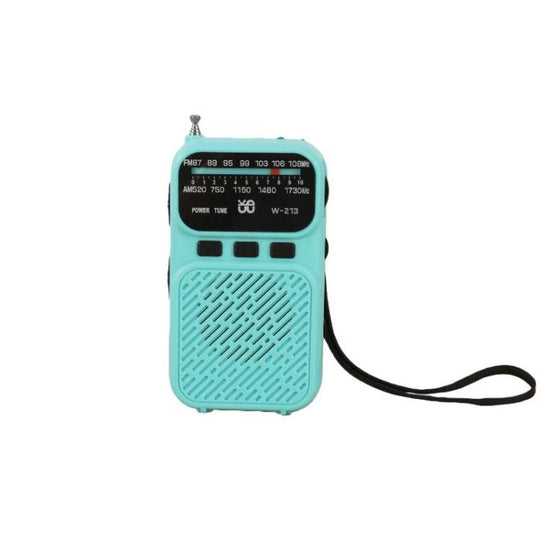 W-213 FM/AM Pointer Dual-Power Radio Portable Clip-On Radio With Flashlight(Blue)