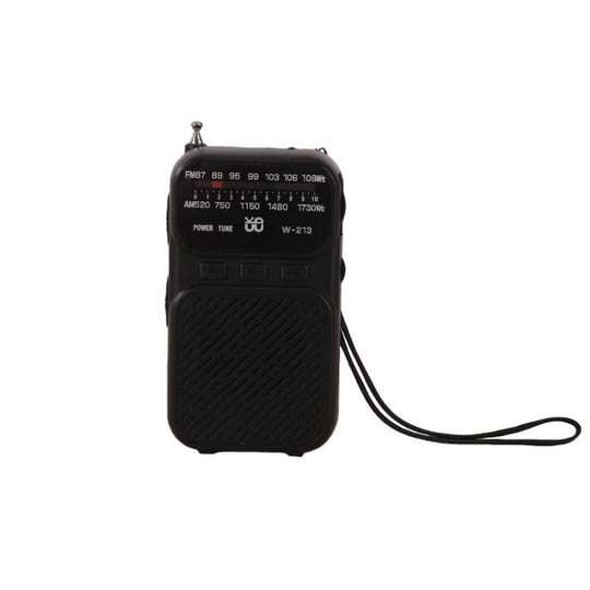 W-213 FM/AM Pointer Dual-Power Radio Portable Clip-On Radio With Flashlight(Black)