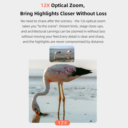 TBD06065924_B6.jpg@bf0be555a0a34726c813d0c4e1badae5