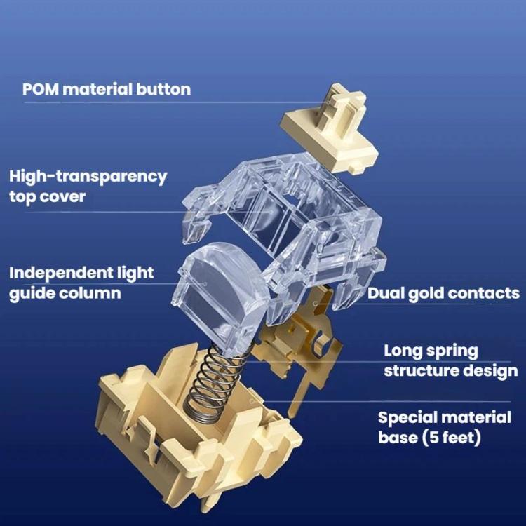 TBD06065926_B6.jpg@ba44695b043e003038245fae698f05ce