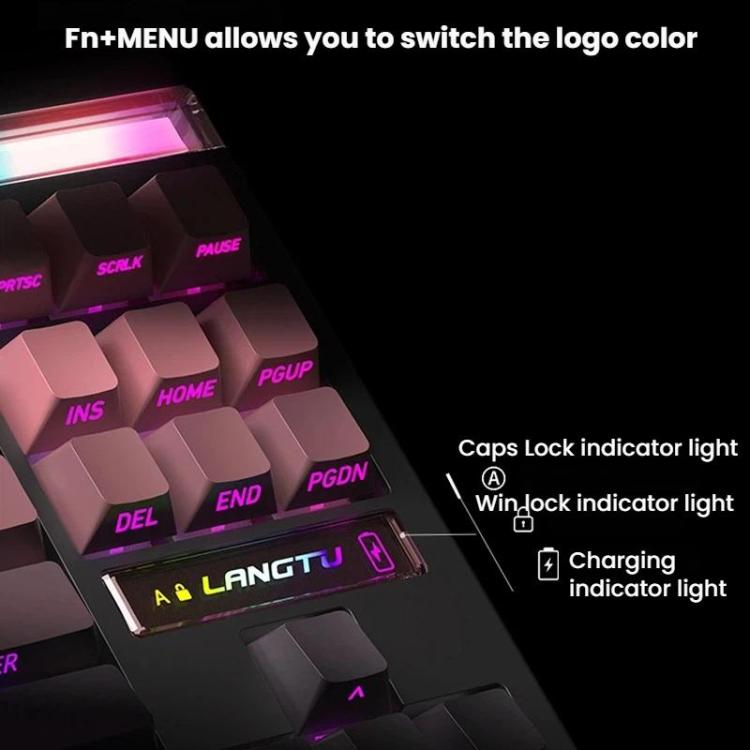 TBD06065926_B7.jpg@01b920c060d7dbf5c2fe3208c4a344a6