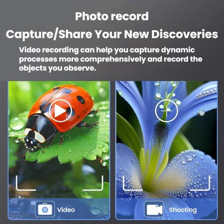 TBD06066247_B2.jpg@0c524a9149bc0529ebde963400296d68