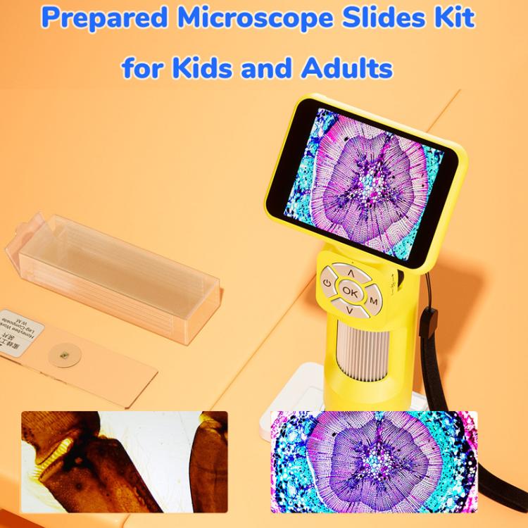 TBD06066250_B3.jpg@feb2a3024a297c95ed8e8f80482f6188