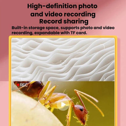 TBD06066269_B3.jpg@849848fcb414fd9039ae6e4b84e7cc65