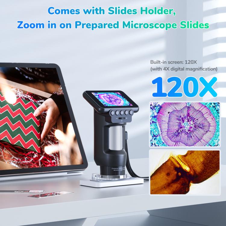 TBD06066274_B3.jpg@7c93bea69fdf74d3b776925f23bb12d6