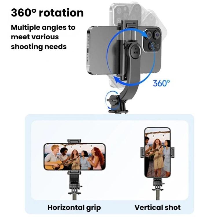 TBD06066430_B7.jpg@d464264781eb509c3577891fe3a149b4