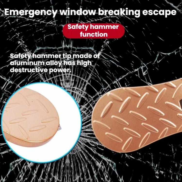 TBD06066517_B6.jpg@817d23dcb3b1f77fc4f67ceed92b9da8