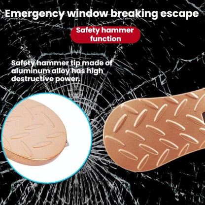 TBD06066517_B6.jpg@817d23dcb3b1f77fc4f67ceed92b9da8