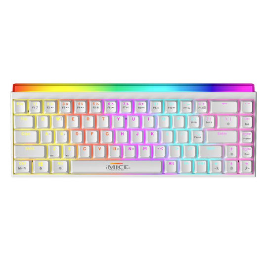 iMICE GK-170 Type-C 1.5m Wired Hot-Swappable 68-Key RGB Mechanical Keyboard(Standard White)