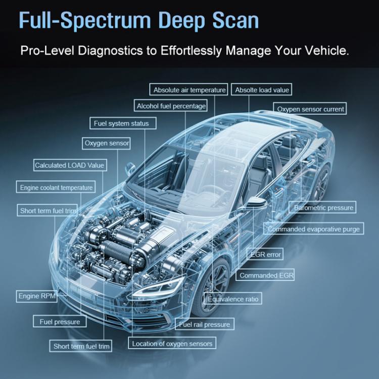 TBD06067995_9.jpg@6aac9470f06e0a04ef582675e4a6aaaa