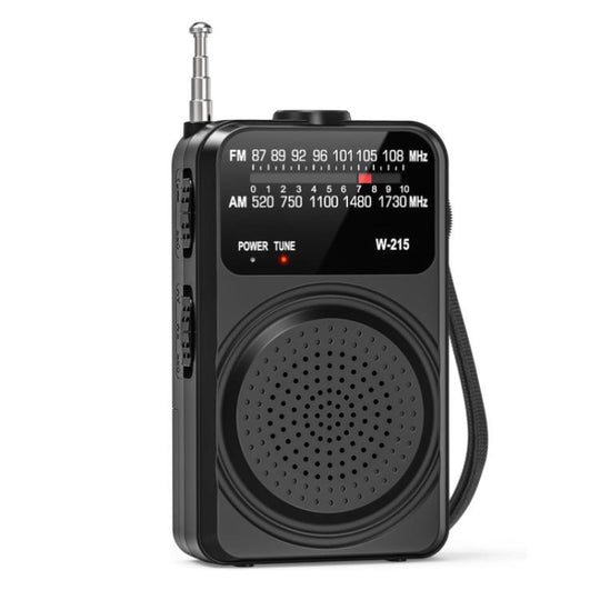 WDK FM/AM All-Band Portable Radio, Size: English(Black)