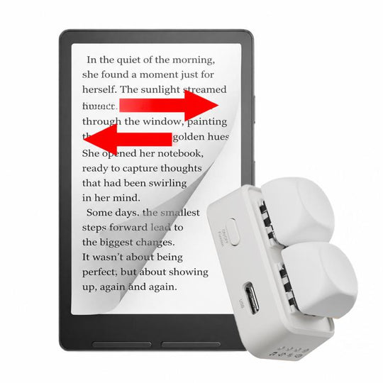 Hanlinyue 2-Key High-Speed Switch Keyboard Bluetooth Page Turner, Color: White For E-book