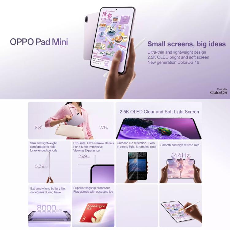 WMC8318_B1.jpg@805040d34ff4cf8a978b73bf90d1378f
