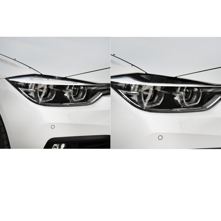 Car ABS Light Eyebrow for BMW 3 Series F30 2012-2018 - Lamp Decoration by buy2fix | Online Shopping UK | buy2fix