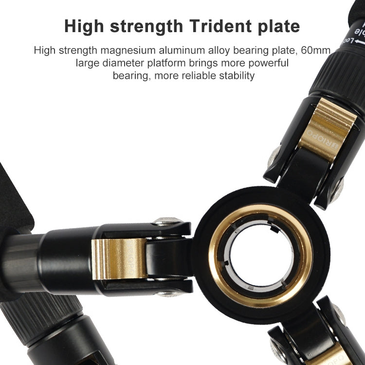 TRIOPO 853 Adjustable Portable Carbon Fiber Tripod with D2-A Ball Head for SLR Camera - Tripods by TRIOPO | Online Shopping UK | buy2fix