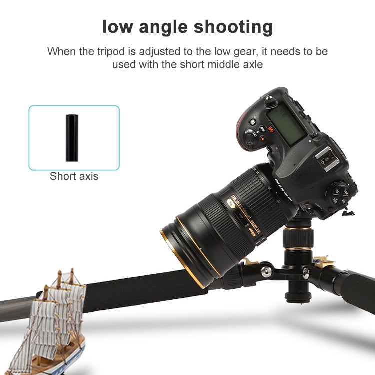 TRIOPO 853 Adjustable Portable Carbon Fiber Tripod with D2-A Ball Head for SLR Camera - Tripods by TRIOPO | Online Shopping UK | buy2fix