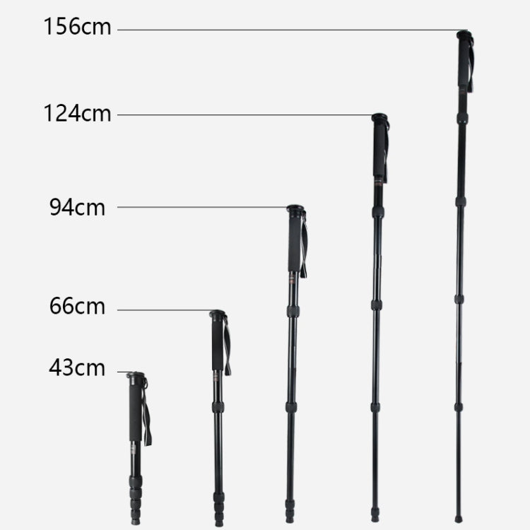 BEXIN MAS285 Portable Travel Outdoor DSLR Camera Aluminum Alloy Monopod Holder(Black) - Monopods by BEXIN | Online Shopping UK | buy2fix
