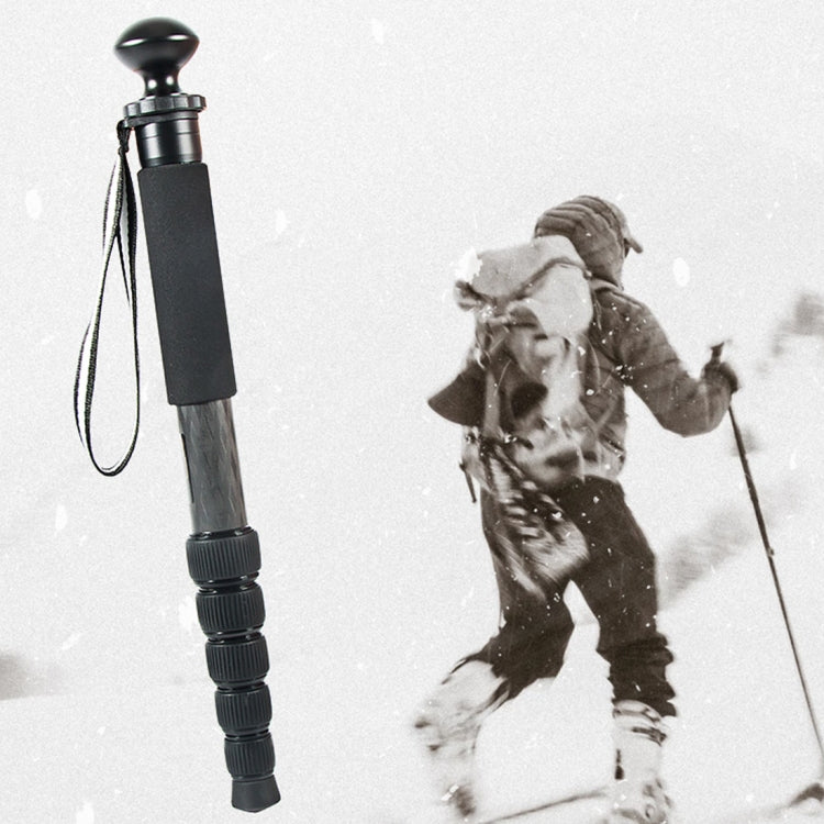 BEXIN P306C Portable Travel Outdoor DSLR Camera Carbon Fiber Monopod Holder (Black) - Monopods by BEXIN | Online Shopping UK | buy2fix