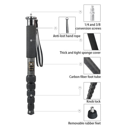 BEXIN P306C Portable Travel Outdoor DSLR Camera Carbon Fiber Monopod Holder (Black) - Monopods by BEXIN | Online Shopping UK | buy2fix