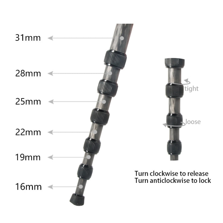 BEXIN P306C Portable Travel Outdoor DSLR Camera Carbon Fiber Monopod Holder (Black) - Monopods by BEXIN | Online Shopping UK | buy2fix