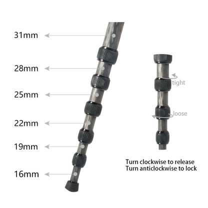 BEXIN P306C Portable Travel Outdoor DSLR Camera Carbon Fiber Monopod Holder (Black) - Monopods by BEXIN | Online Shopping UK | buy2fix
