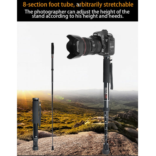 BEXIN P308A Portable Travel Outdoor DSLR Camera Aluminum Alloy Monopod Holder (Black) - Monopods by BEXIN | Online Shopping UK | buy2fix
