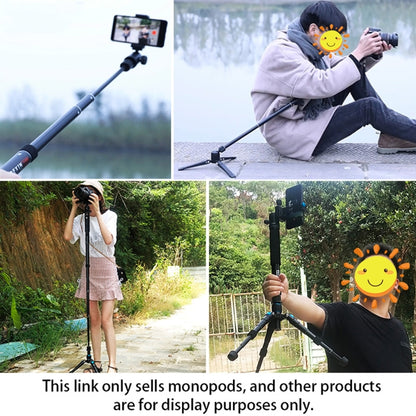 BEXIN P308B Portable Travel Outdoor DSLR Camera Aluminum Alloy Monopod Holder (Black) - Monopods by BEXIN | Online Shopping UK | buy2fix