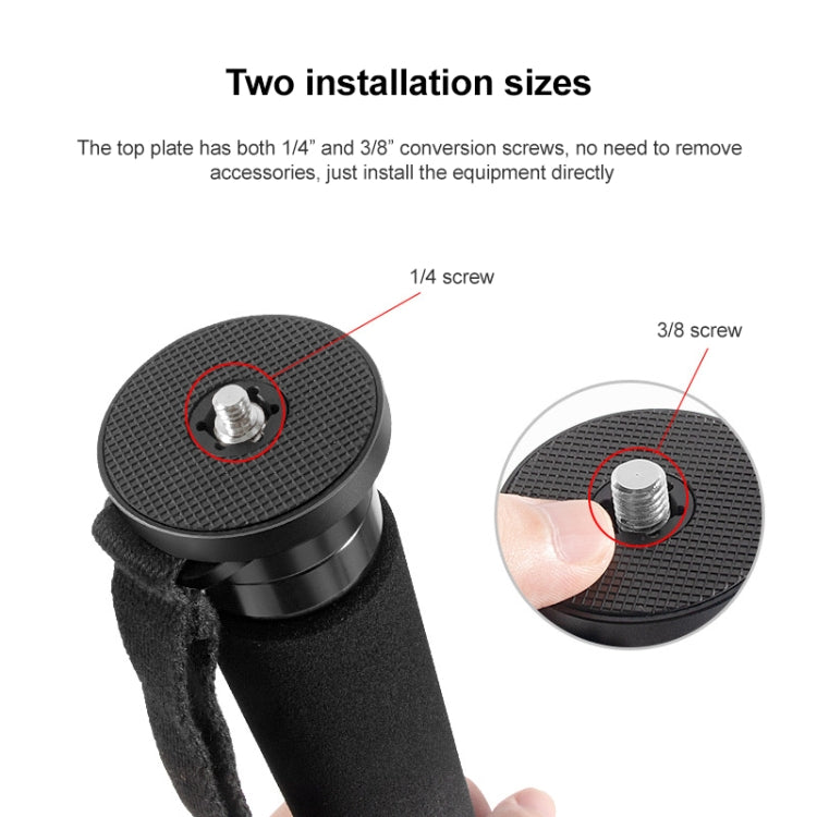 BEXIN P406C Camera Carbon Fiber Monopod Travel Live Selfie Bracket Holder - Monopods by BEXIN | Online Shopping UK | buy2fix