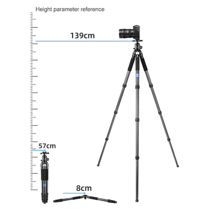 BEXIN RC334 Portable Collapsible Carbon Fiber Camera Tripod with K44 Panoramic BallHead - Tripods by BEXIN | Online Shopping UK | buy2fix