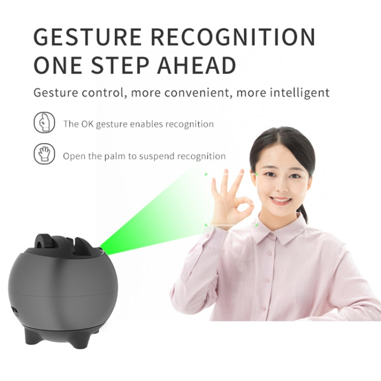 Q9 Al Gesture Recognition Two Axis Follow-up Cloud Platform(Gold) by buy2fix