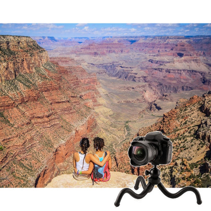 W1 Mini Octopus Flexible Tripod Holder with Ball Head for SLR Cameras, GoPro, Phones (Black) by buy2fix