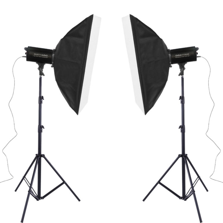 TRIOPO Oubao TTR400W Studio Flash with E27 150W Light Bulb - Shoe Mount Flashes by TRIOPO | Online Shopping UK | buy2fix
