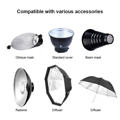 TRIOPO Oubao TTR400W Studio Flash with E27 150W Light Bulb - Shoe Mount Flashes by TRIOPO | Online Shopping UK | buy2fix