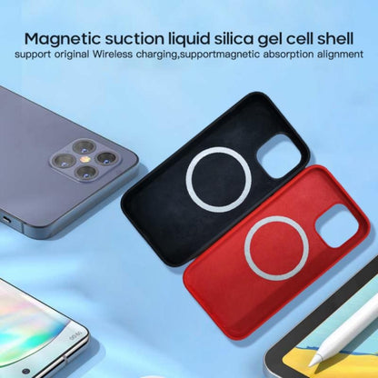 For iPhone 12 / 12 Pro Magnetic Liquid Silicone Full Coverage Shockproof Magsafe Case with Magsafe Charging Magnet(Black) by buy2fix
