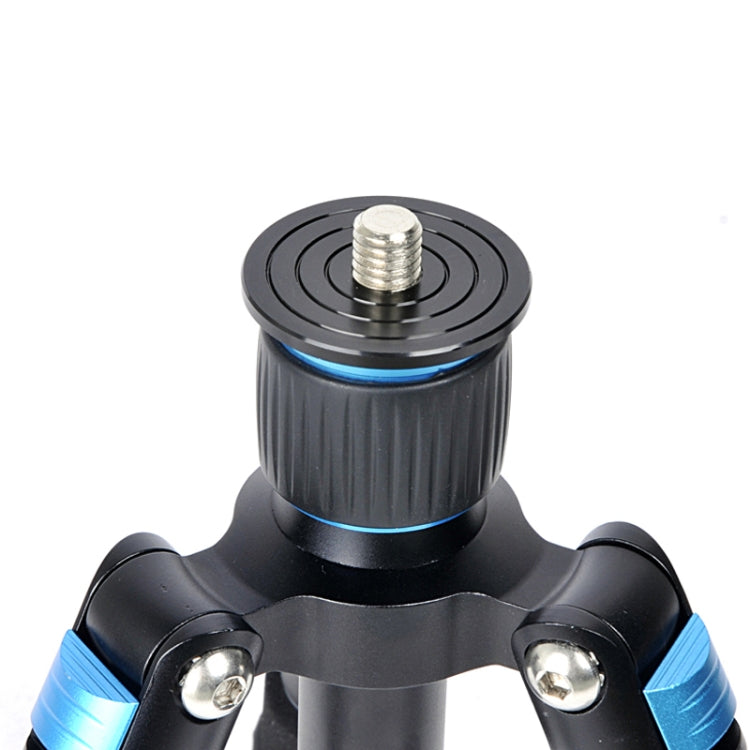 BEXIN MS08 Travel Camera Mini Tripods for Smart Phone Dslr Camera - Tripods by buy2fix | Online Shopping UK | buy2fix