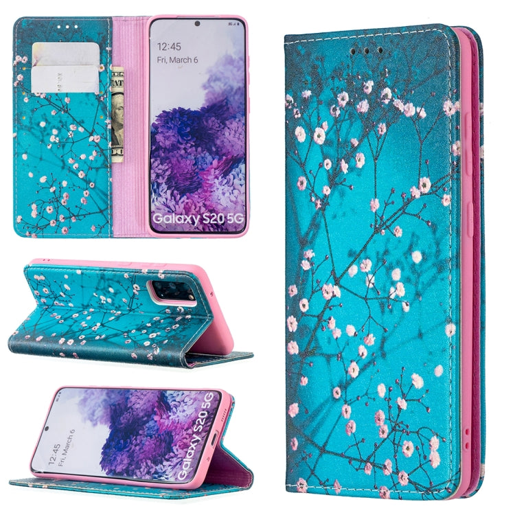 For Samsung Galaxy S20 Colored Drawing Pattern Invisible Magnetic Horizontal Flip PU Leather Case with Holder & Card Slots & Wallet(Plum Blossom) by buy2fix