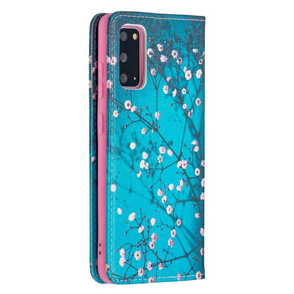 For Samsung Galaxy S20 Colored Drawing Pattern Invisible Magnetic Horizontal Flip PU Leather Case with Holder & Card Slots & Wallet(Plum Blossom) by buy2fix