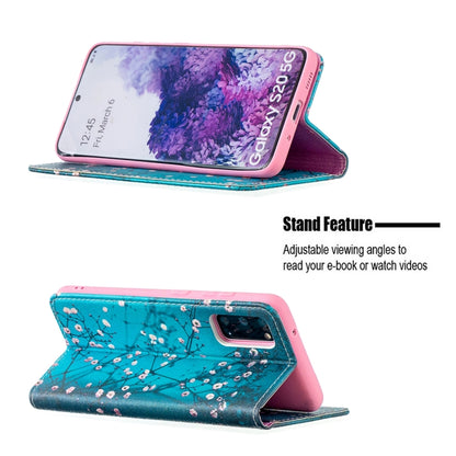 For Samsung Galaxy S20 Colored Drawing Pattern Invisible Magnetic Horizontal Flip PU Leather Case with Holder & Card Slots & Wallet(Plum Blossom) by buy2fix