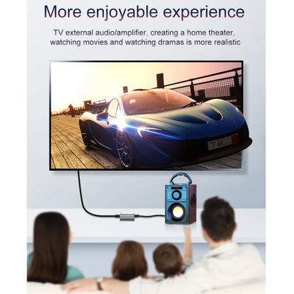 HW-25DA Digital to Analog Audio Converter(Grey) by buy2fix