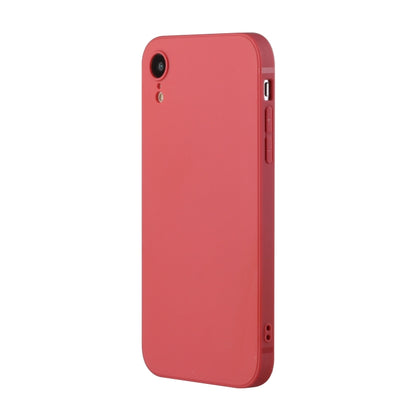 For iPhone XR Straight Edge Solid Color TPU Shockproof Case(Hawthorn Red) - More iPhone Cases by buy2fix | Online Shopping UK | buy2fix