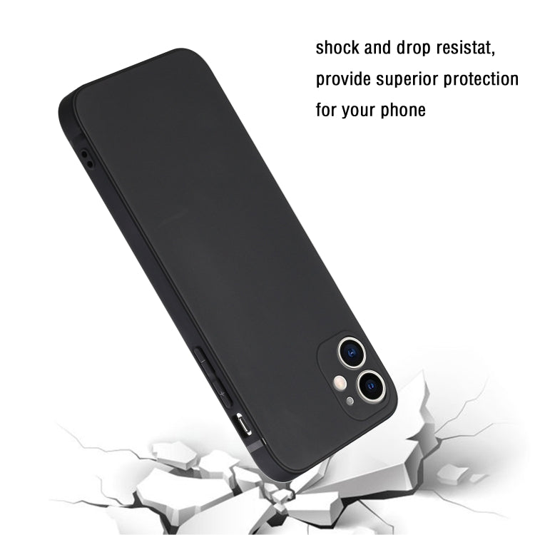 For iPhone 11 Straight Edge Solid Color TPU Shockproof Case (Black) - iPhone 11 Cases by buy2fix | Online Shopping UK | buy2fix
