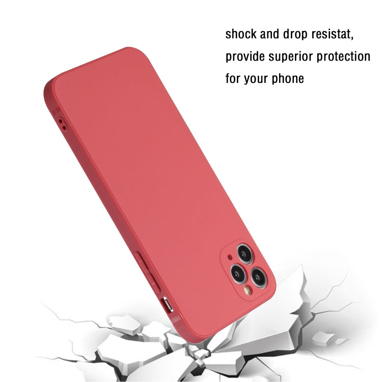 For iPhone 11 Pro Straight Edge Solid Color TPU Shockproof Case (Hawthorn Red) - iPhone 11 Pro Cases by buy2fix | Online Shopping UK | buy2fix