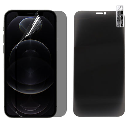 For iPhone 12 Pro 0.1mm 2.5D Full Cover Anti-spy Screen Protector Explosion-proof Hydrogel Film - iPhone 12 / 12 Pro Tempered Glass by buy2fix | Online Shopping UK | buy2fix